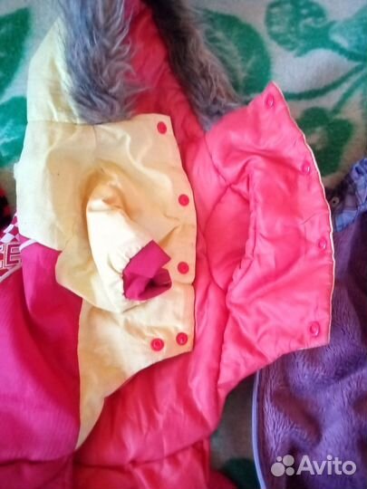 Одежда для собак