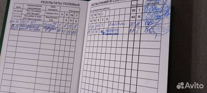 Бесплатно. Вязка зсл