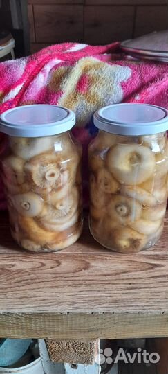 Грибы маринованные грузди