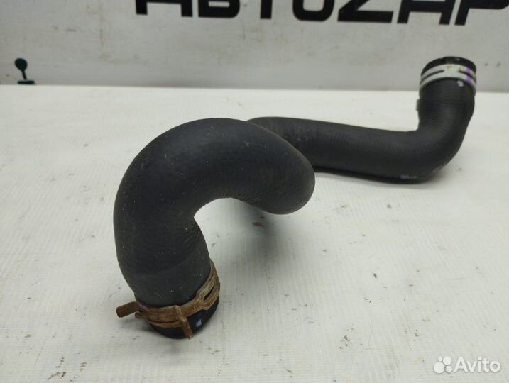 Патрубок радиатора нижний Ford Focus хэтчбек 2010