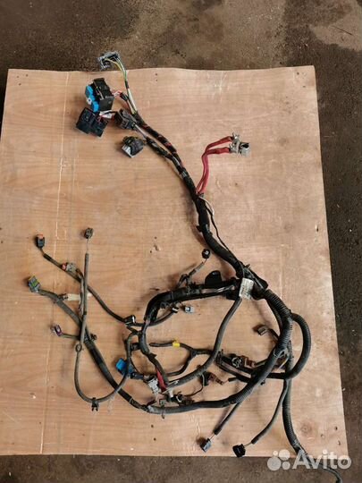 Рено проводка моторная