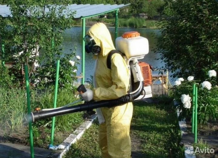 Обработка участка от насекомых