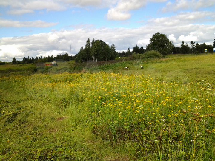 Участок 13 га (СНТ, ДНП)