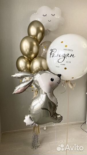 Шарики на выписку в Ульяновске