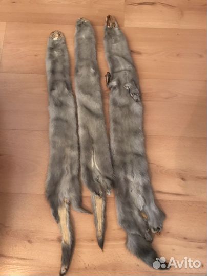 Шкурки норки