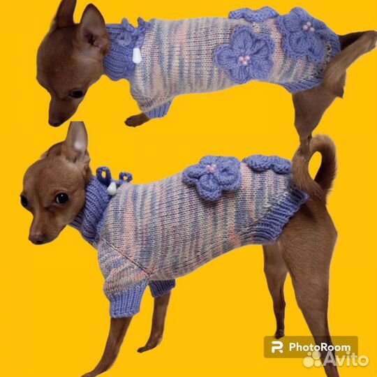 Одежда вязаная для животных