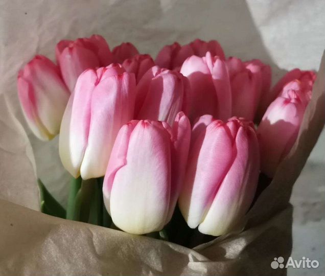 Тюльпаны к 8 марта опт и розн