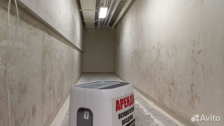 Осушитель воздуха Ballu70 для сушки подвалов