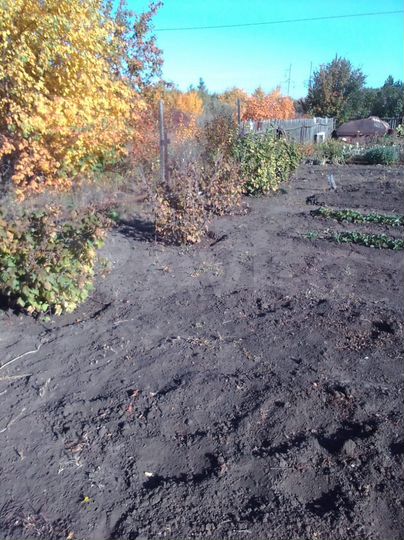 Участок 6 сот. (СНТ, ДНП)