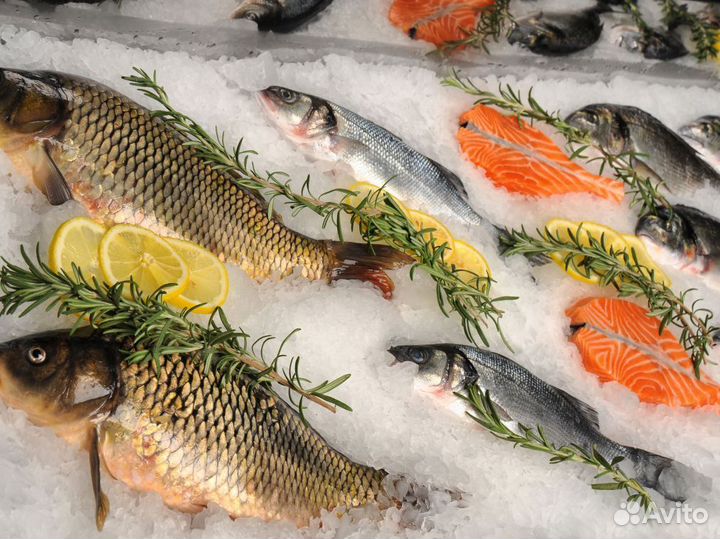 Создайте бизнес с франшизой рыбного магазина