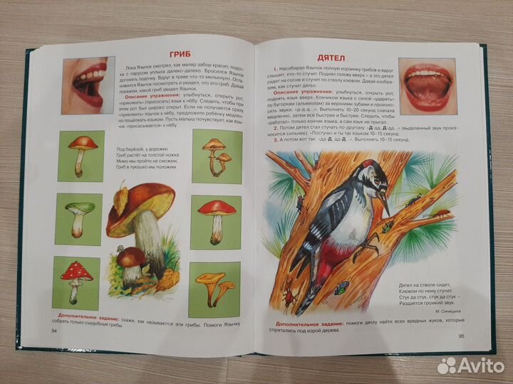 Новый большой логопедический учебник