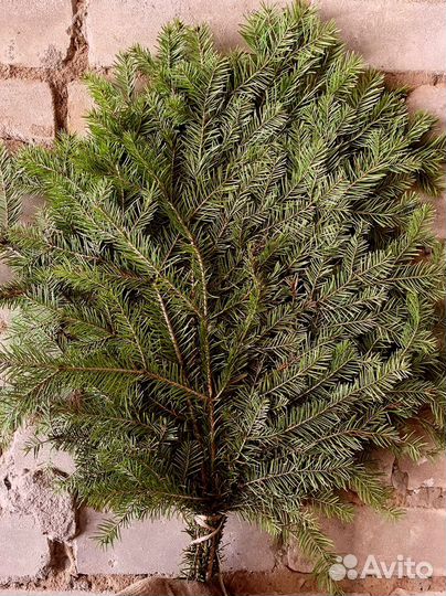 Веники для бани