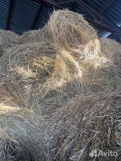 Сено в рулонах оптом