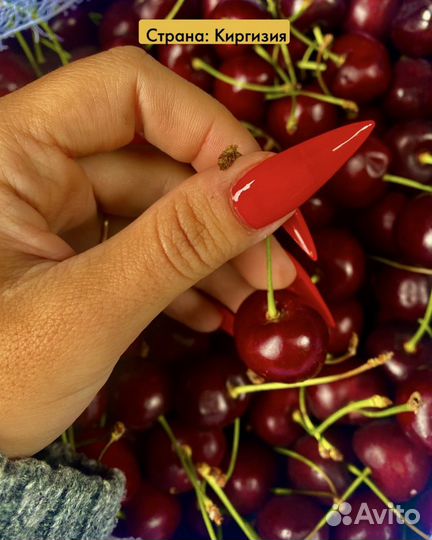 Свежие абрикосы / черешня / нектарин