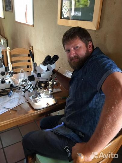 Матки Бакфаст F1, ио, и Островные