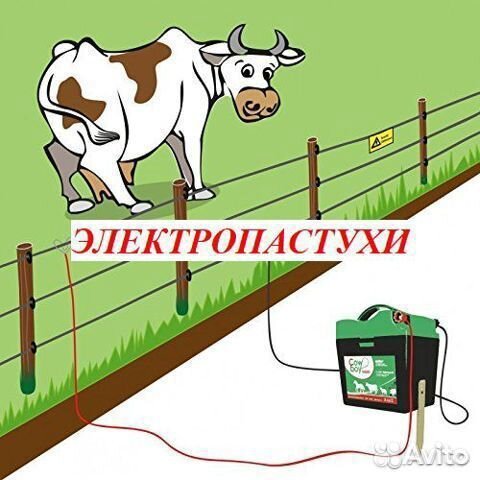 Электропастух
