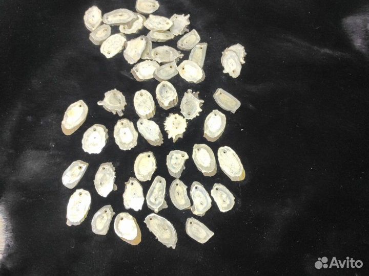 Спилы из рогов