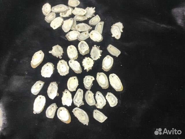 Спилы из рогов