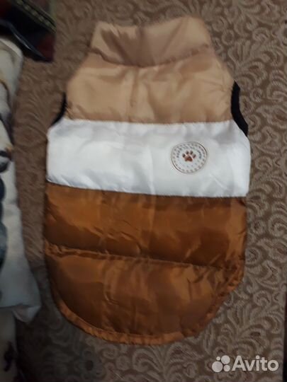 Одежда для маленькой собачки