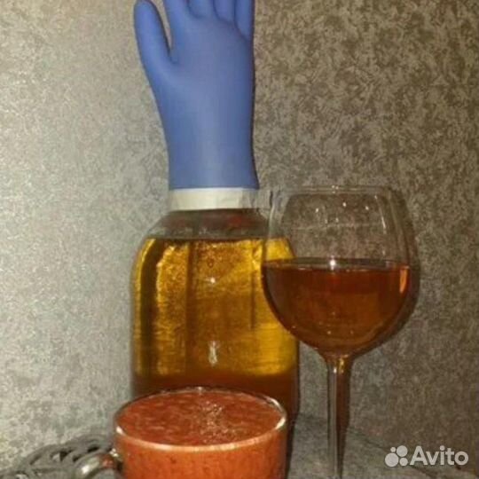 Винный гриб (зооглею)