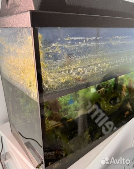Аквариум бесплатно б\у