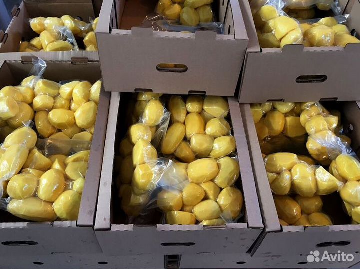 Овощи в вакумной упаковке