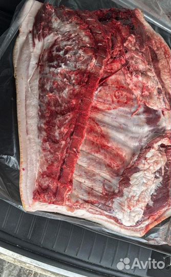 Мясо свинина в полутушах