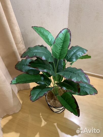 Стрелиция искусственная (банановая пальма)