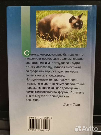 Дорин Тови. Кошки в доме