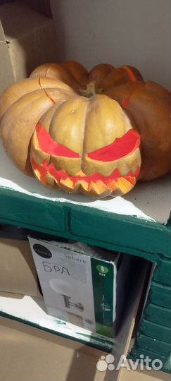 Тыква для хнлоуина