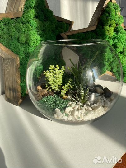 Флорариум с суккулентами