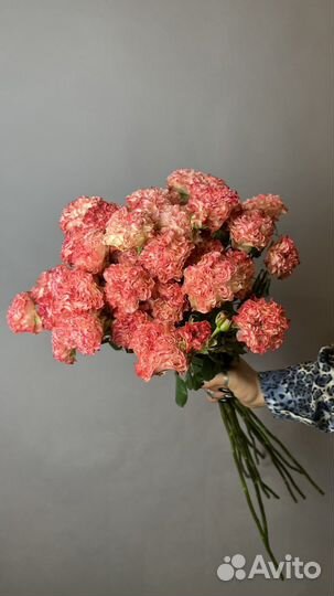 Букет цветов. 11 кустовых роз Эквадор. Стойкие