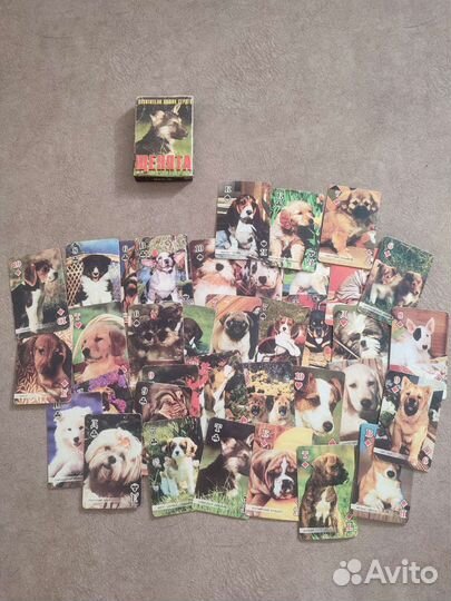 Игральные карты