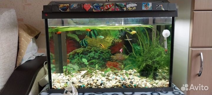 Аквариум