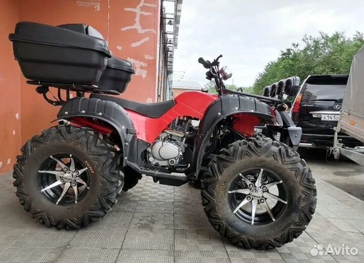 Квадроцикл 300 кубов Grizzly 250cc (Кардан)