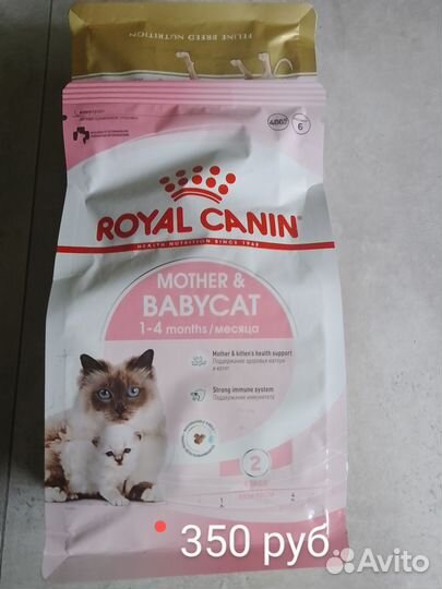 Корм для кошек