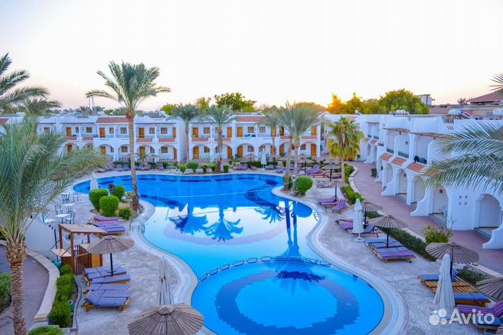 Тур в Египет на 11 ночей - кораллы, жара, море