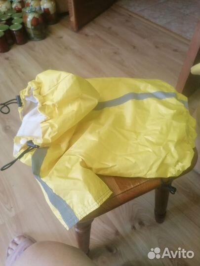 Одежда для собак