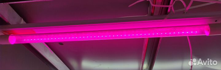 Фитолампа для микрозелени 9w с светильником