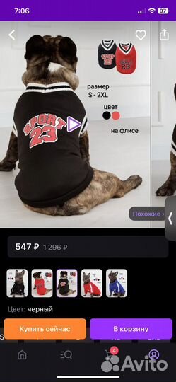 Толстовка для собаки