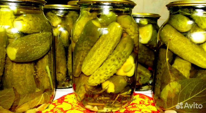 Маринованные огурцы оптом