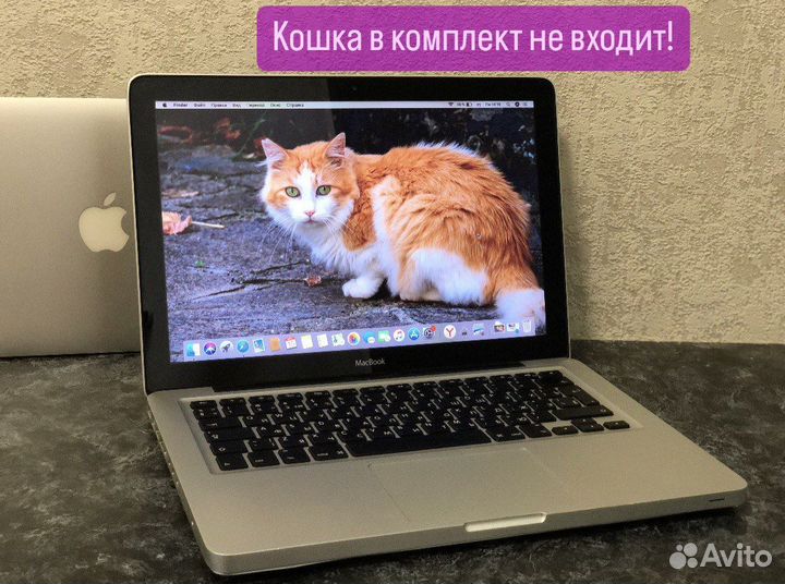 Купить ноутбук Apple MacBook 13 4/370 SSD