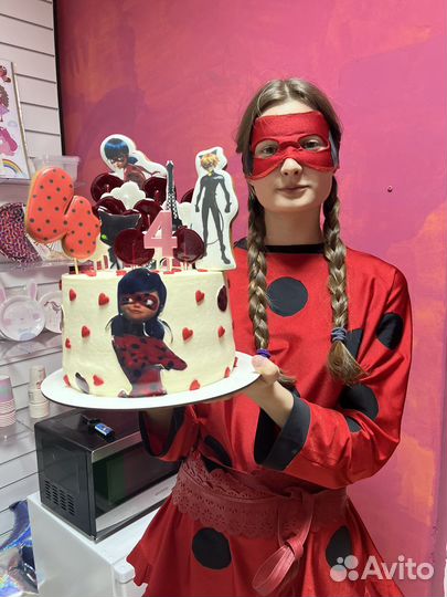 Аниматоры.Дед Мороз на дом