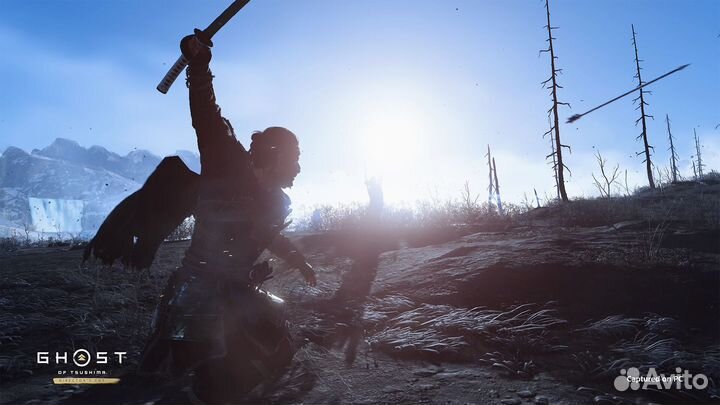 Ghost of Tsushima Director's Cut (Steam)