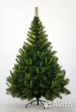 Ель Таежная 1.8м