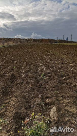 Вспашка земли трактором