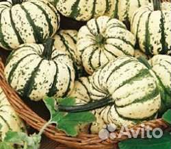 Семена тыквы