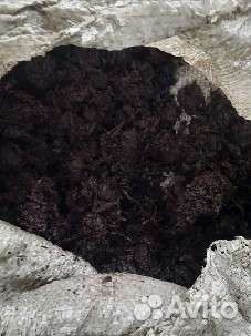 Конский навоз