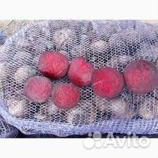 Свекла крупным оптом