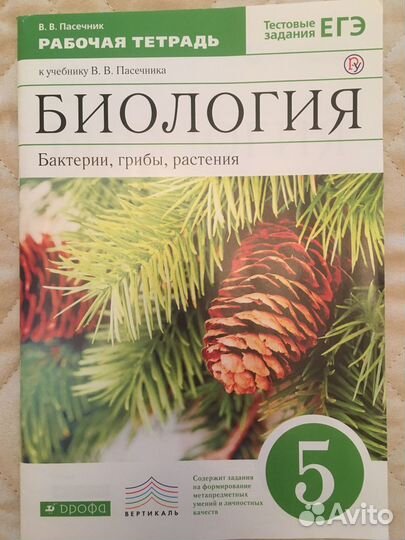 Учебники 5,6 класс